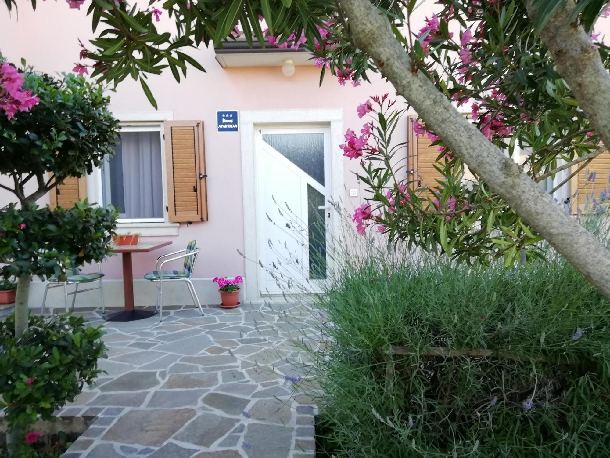 Apartmani Vesna Buje Exterior foto
